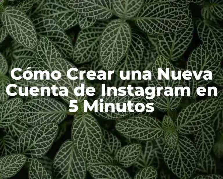 Cómo Crear una Nueva Cuenta de Instagram en 5 Minutos