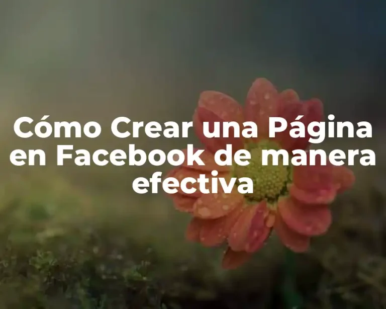 Cómo Crear una Página en Facebook de manera efectiva