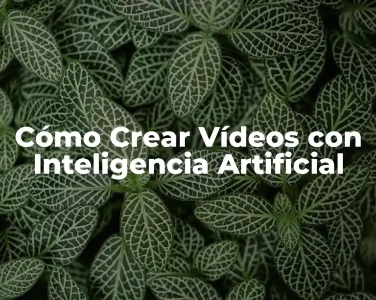 Cómo Crear Vídeos con Inteligencia Artificial