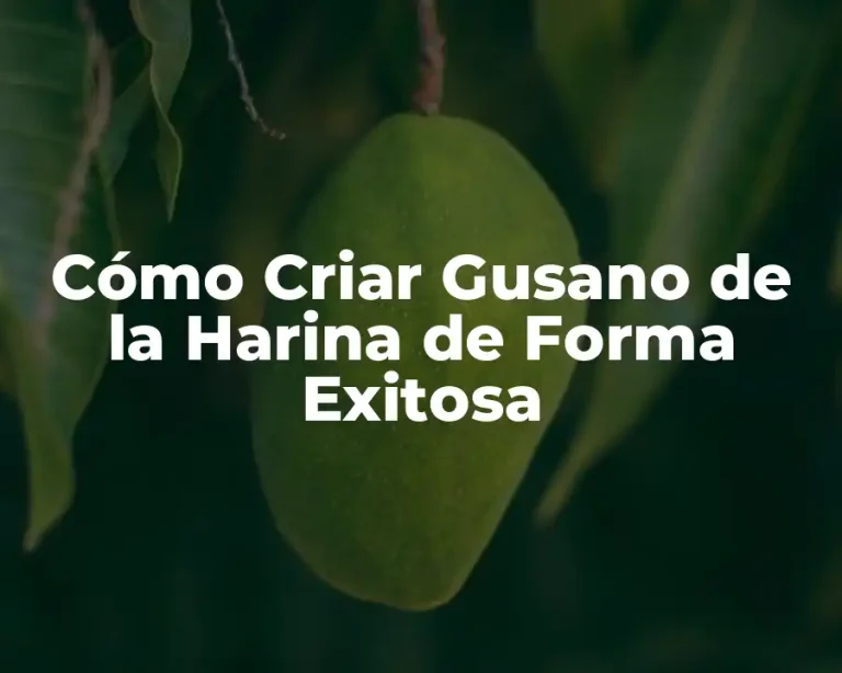 Cómo Criar Gusano de la Harina de Forma Exitosa