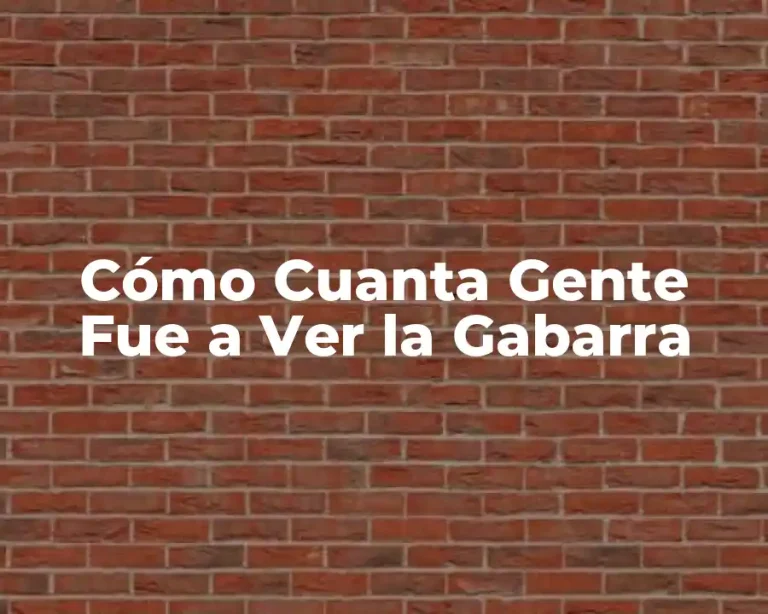 Cómo Cuanta Gente Fue a Ver la Gabarra