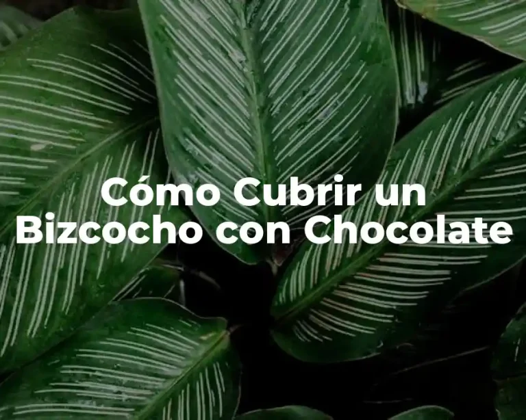 Cómo Cubrir un Bizcocho con Chocolate