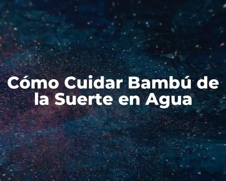Cómo Cuidar Bambú de la Suerte en Agua