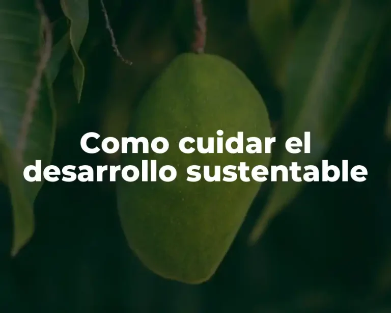 Como cuidar el desarrollo sustentable