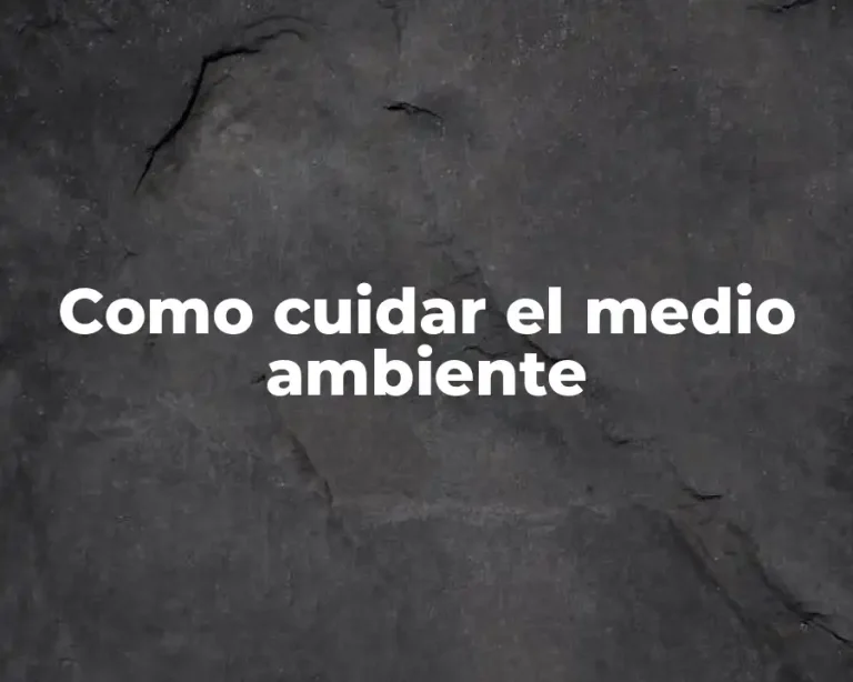 Como cuidar el medio ambiente