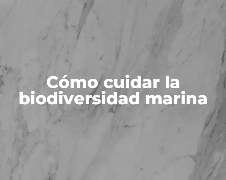 Cómo cuidar la biodiversidad marina