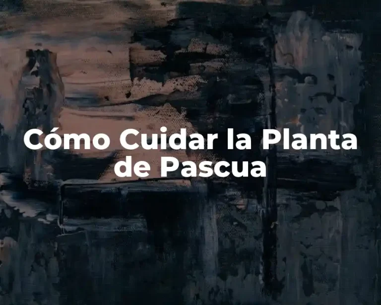 Cómo Cuidar la Planta de Pascua