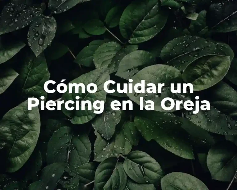 Cómo Cuidar un Piercing en la Oreja