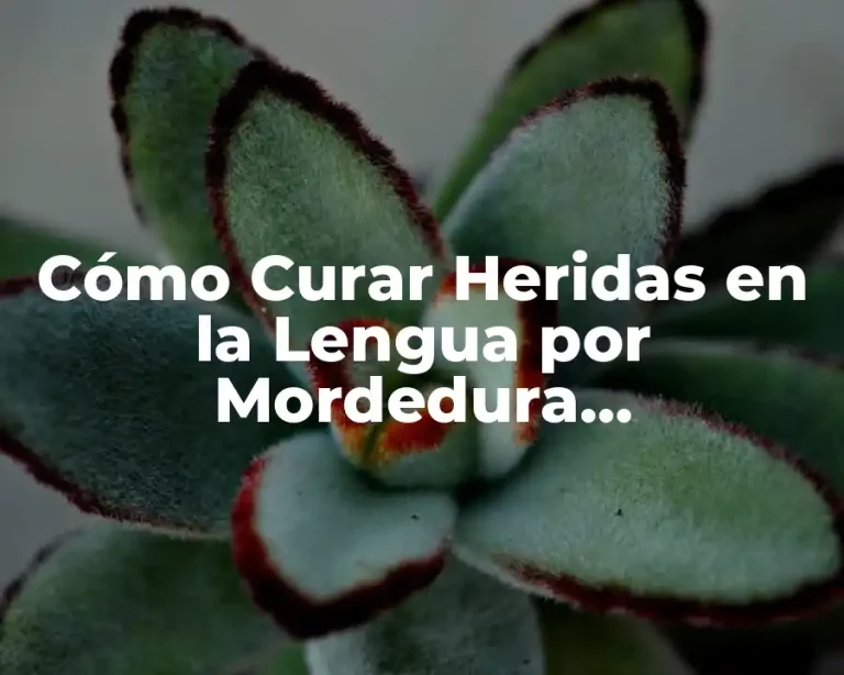 Cómo Curar Heridas en la Lengua por Mordedura Rápidamente y de Forma Segura