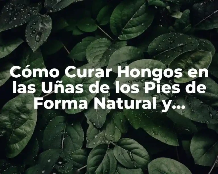Cómo Curar Hongos en las Uñas de los Pies de Forma Natural y Efectiva