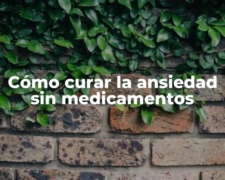 Cómo curar la ansiedad sin medicamentos