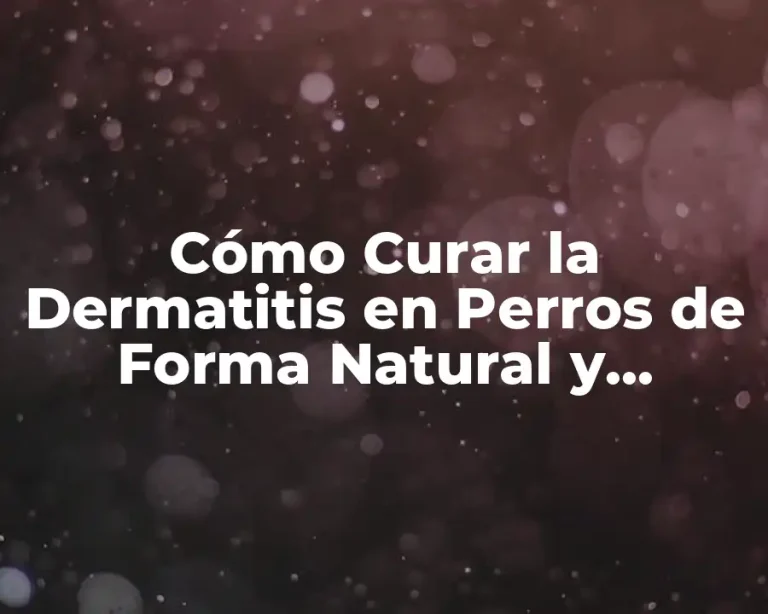 Cómo Curar la Dermatitis en Perros de Forma Natural y Efectiva