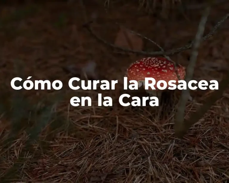 Cómo Curar la Rosacea en la Cara