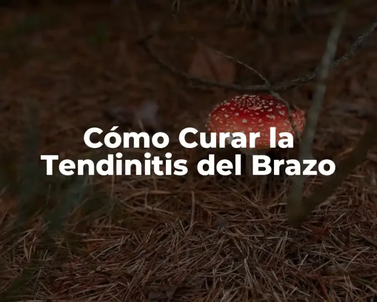 Cómo Curar la Tendinitis del Brazo