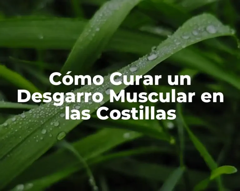Cómo Curar un Desgarro Muscular en las Costillas