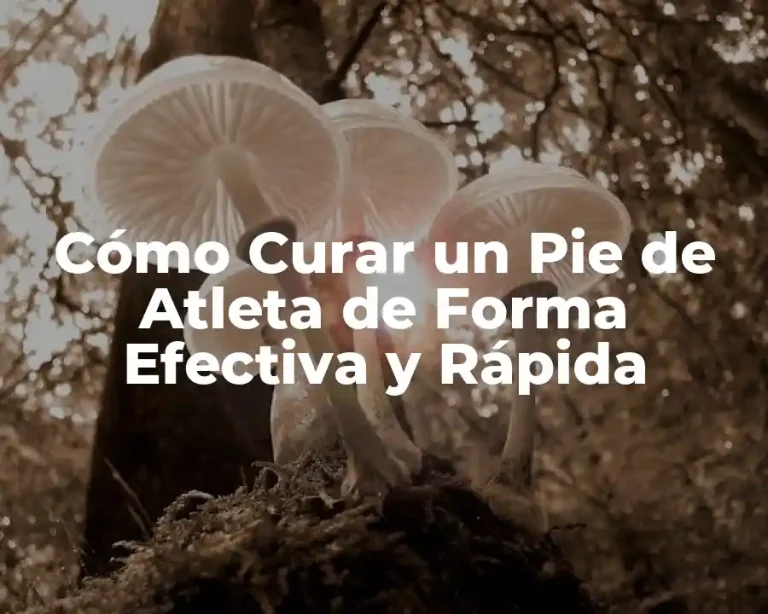 Cómo Curar un Pie de Atleta de Forma Efectiva y Rápida