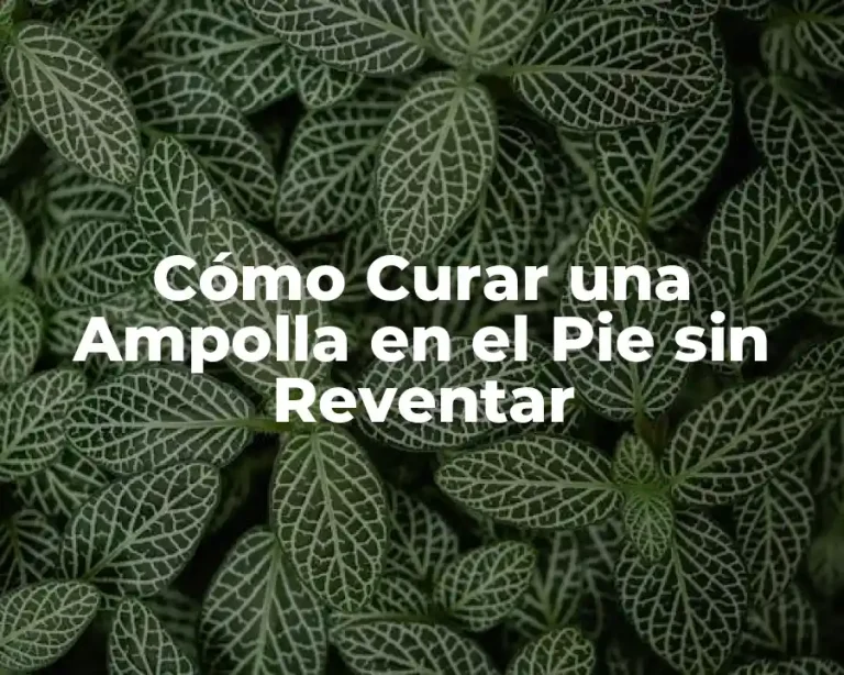 Cómo Curar una Ampolla en el Pie sin Reventar