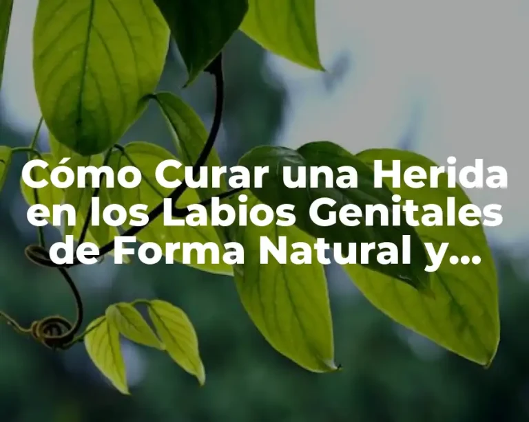 Cómo Curar una Herida en los Labios Genitales de Forma Natural y Segura