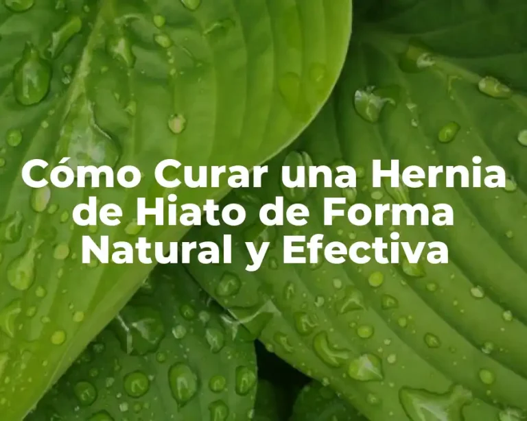 Cómo Curar una Hernia de Hiato de Forma Natural y Efectiva