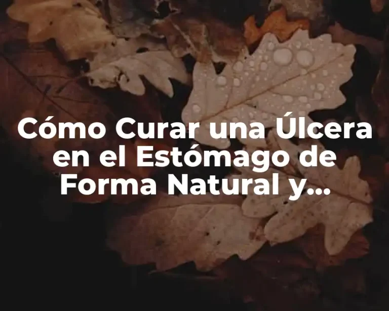Cómo Curar una Úlcera en el Estómago de Forma Natural y Efectiva