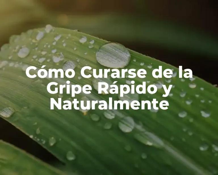 Cómo Curarse de la Gripe Rápido y Naturalmente