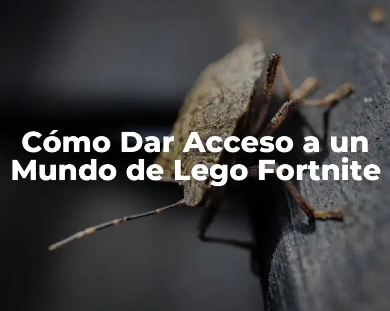 Cómo Dar Acceso a un Mundo de Lego Fortnite