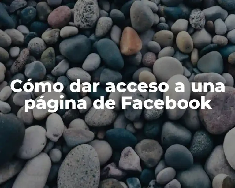 Cómo dar acceso a una página de Facebook