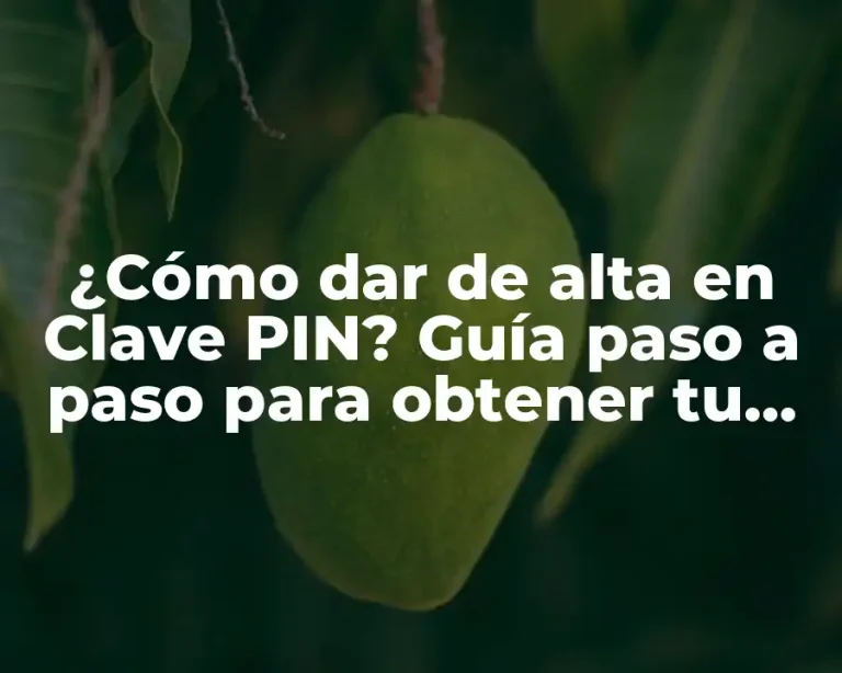 ¿Cómo dar de alta en Clave PIN? Guía paso a paso para obtener tu Clave PIN
