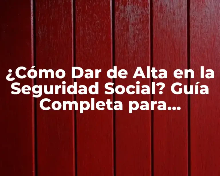 ¿Cómo Dar de Alta en la Seguridad Social? Guía Completa para Autónomos y Empleados