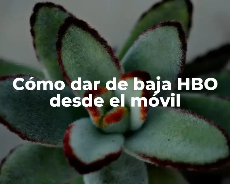 Cómo dar de baja HBO desde el móvil