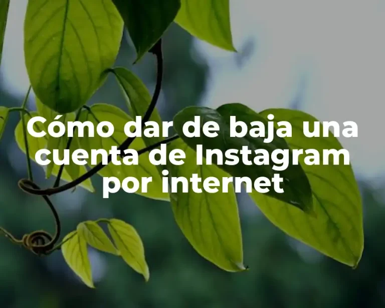 Cómo dar de baja una cuenta de Instagram por internet