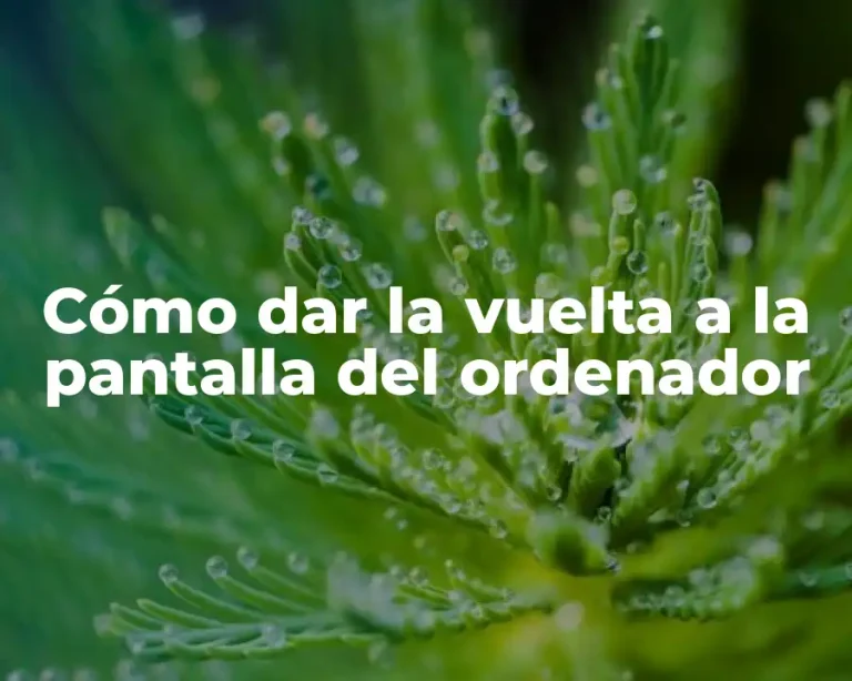 Cómo dar la vuelta a la pantalla del ordenador