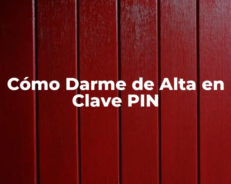 Cómo Darme de Alta en Clave PIN