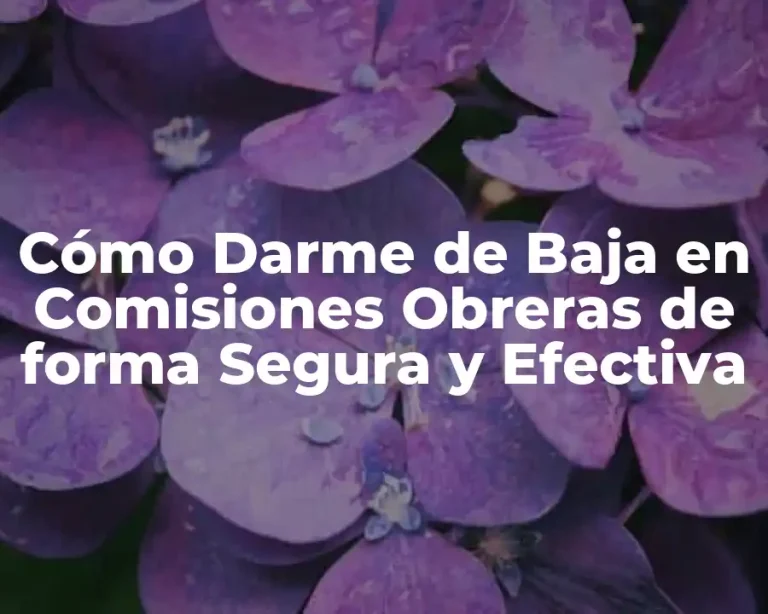 Cómo Darme de Baja en Comisiones Obreras de forma Segura y Efectiva