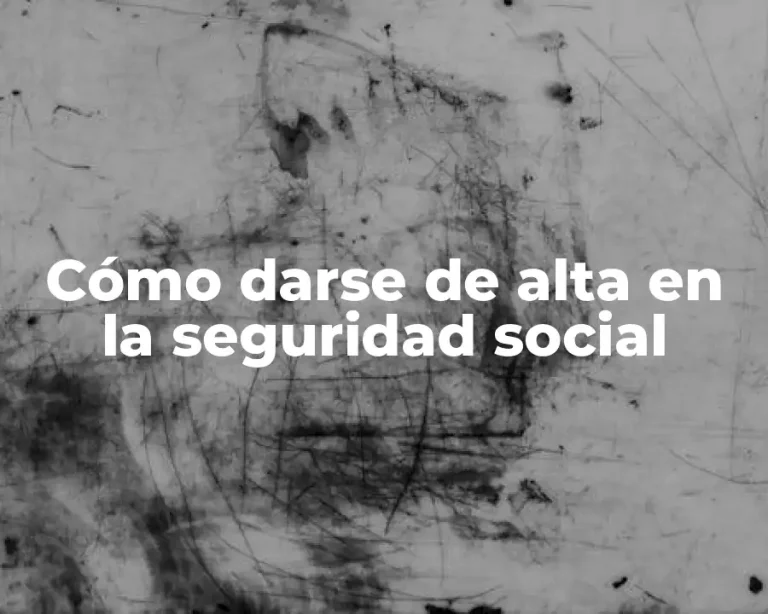 Cómo darse de alta en la seguridad social