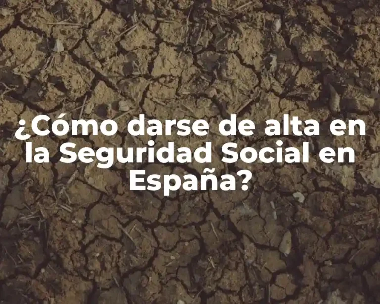 ¿Cómo darse de alta en la Seguridad Social en España?