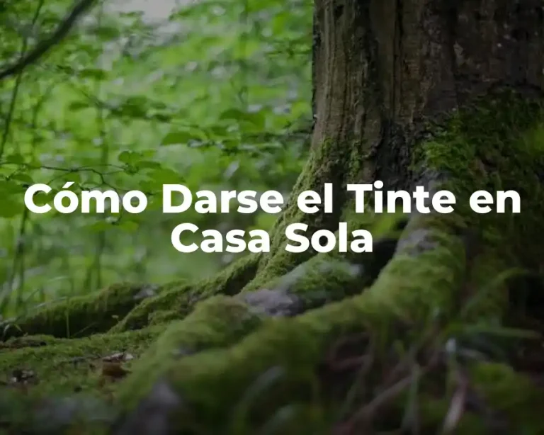 Cómo Darse el Tinte en Casa Sola