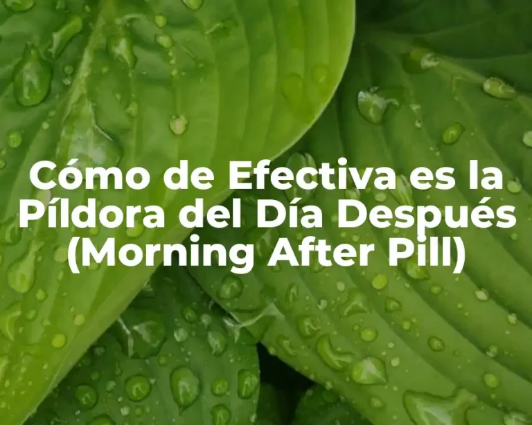 Cómo de Efectiva es la Píldora del Día Después (Morning After Pill)