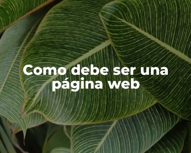 Como debe ser una página web