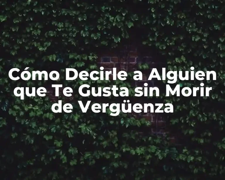 Cómo Decirle a Alguien que Te Gusta sin Morir de Vergüenza