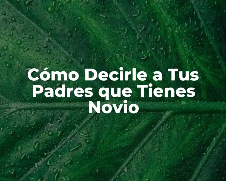 Cómo Decirle a Tus Padres que Tienes Novio