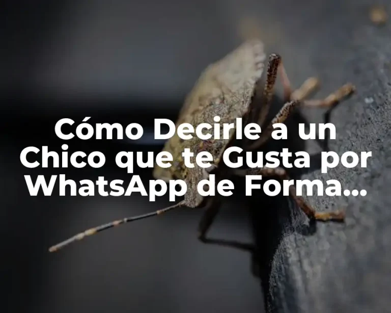 Cómo Decirle a un Chico que te Gusta por WhatsApp de Forma Atractiva