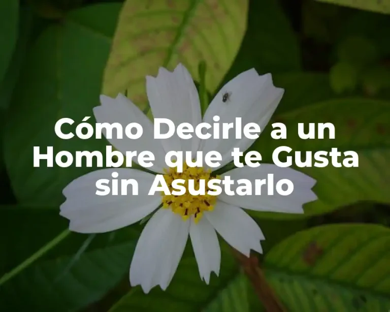 Cómo Decirle a un Hombre que te Gusta sin Asustarlo
