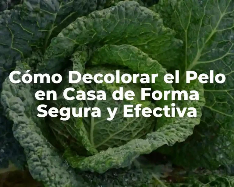 Cómo Decolorar el Pelo en Casa de Forma Segura y Efectiva