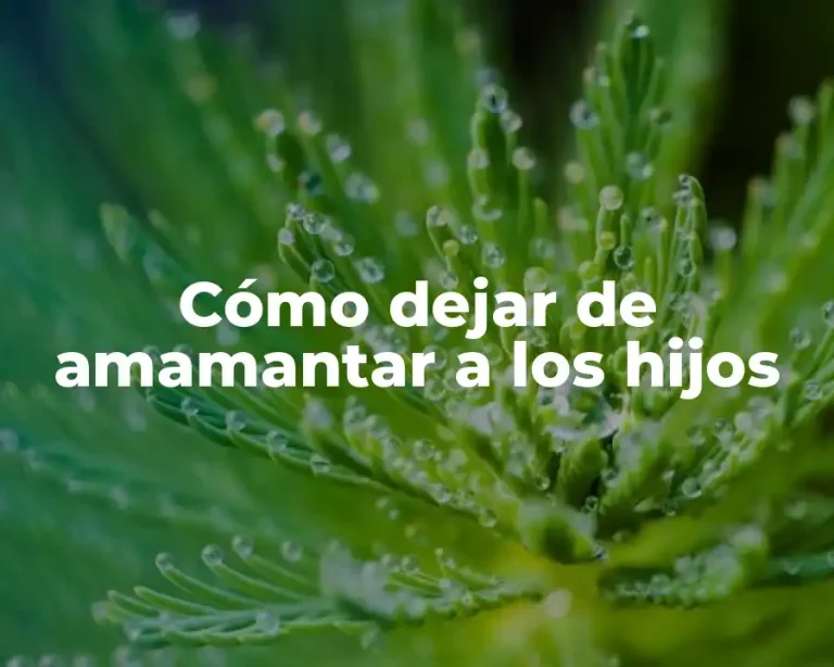 Cómo dejar de amamantar a los hijos