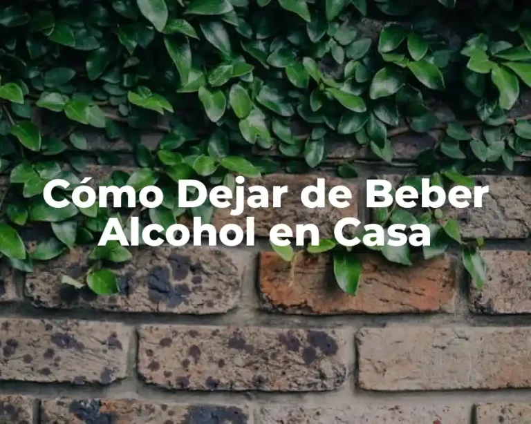 Cómo Dejar de Beber Alcohol en Casa