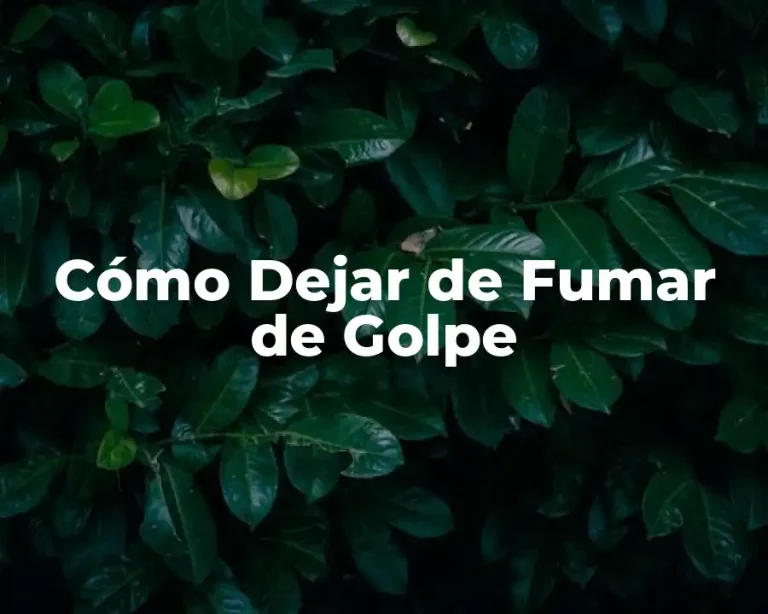 Cómo Dejar de Fumar de Golpe