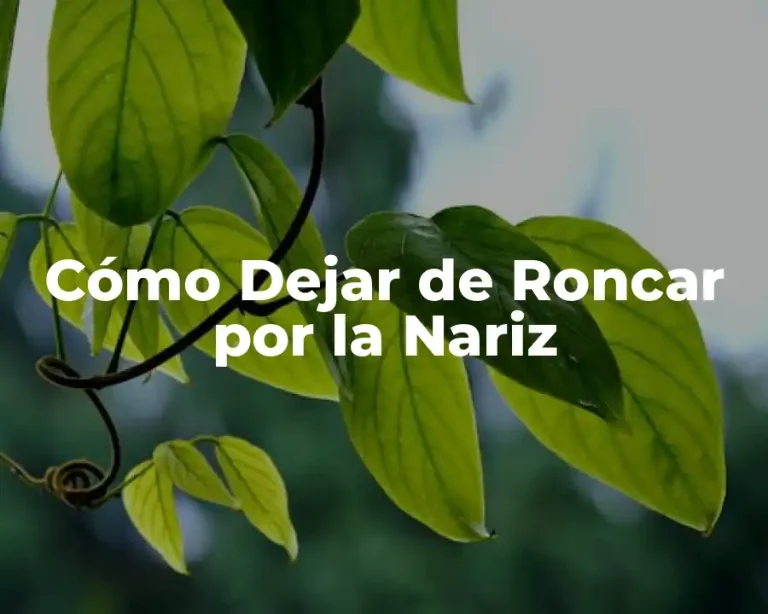 Cómo Dejar de Roncar por la Nariz
