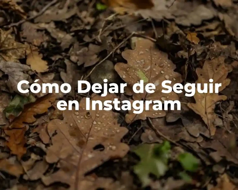 Cómo Dejar de Seguir en Instagram