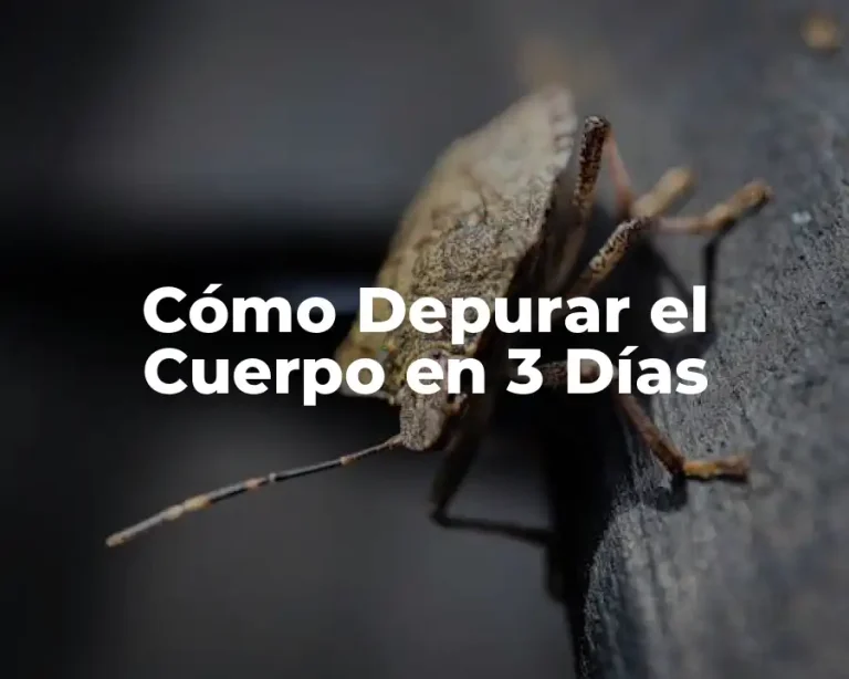 Cómo Depurar el Cuerpo en 3 Días